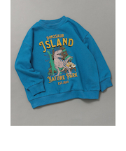 WEB限定 カラバリ グラフィックトレーナー