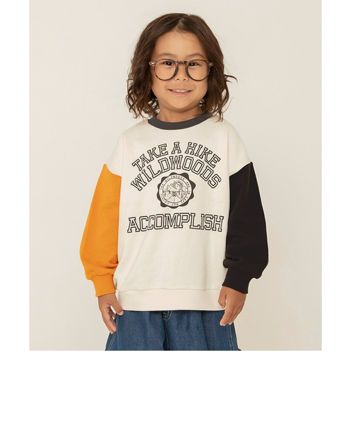 WEB限定 カレッジバリエーショントレーナー