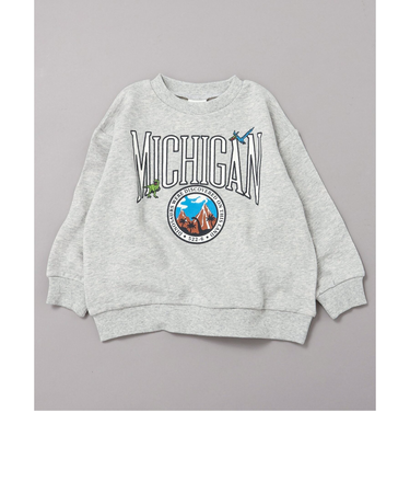 WEB限定 カレッジバリエーショントレーナー