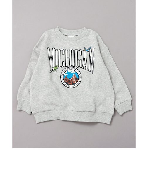 WEB限定 カレッジバリエーショントレーナー