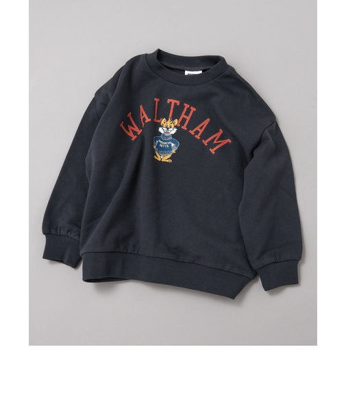 WEB限定 カレッジバリエーショントレーナー