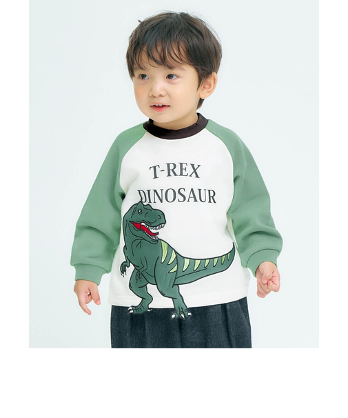 3柄ビックモチーフトレーナー