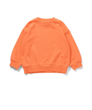 カラバリグラフィックトレーナー