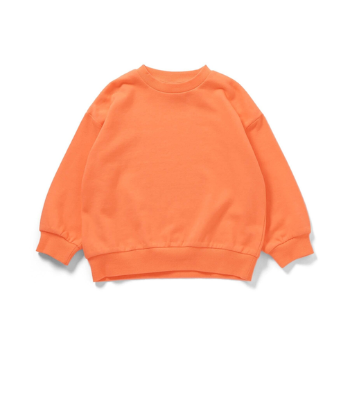 カラバリグラフィックトレーナー