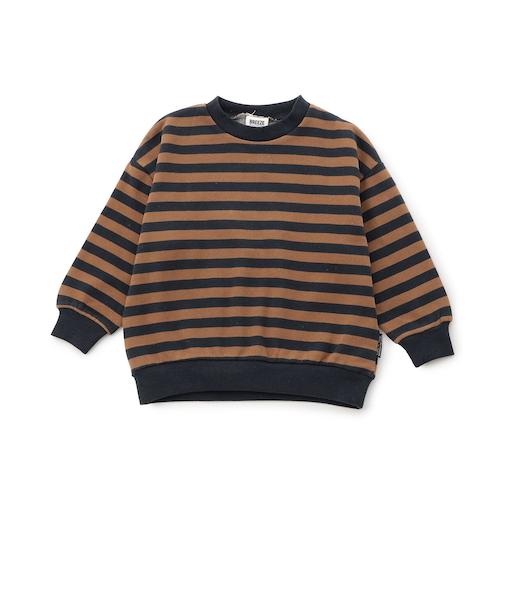 WEB限定  あったか裏起毛無地ボーダートレーナー