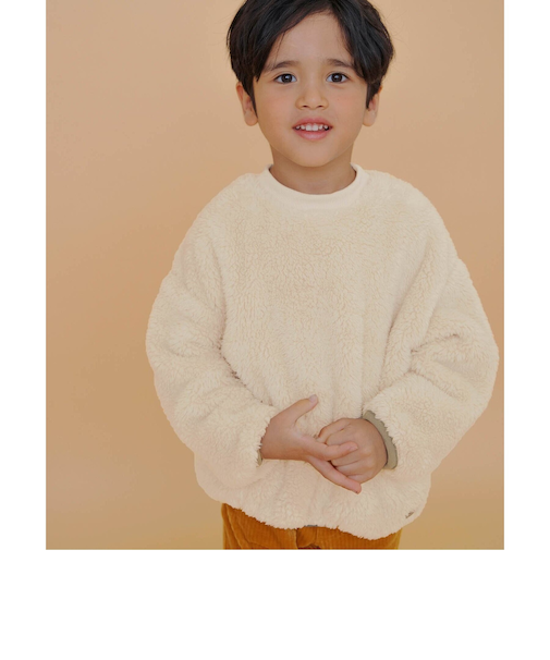 ファーフリーストレーナー