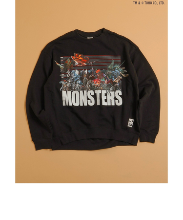 【ゴジラ】70周年歴代ゴジラ&怪獣トレーナー（大人）