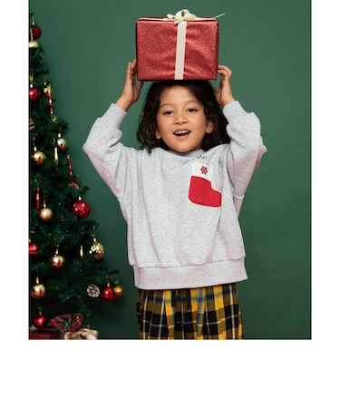 ギミックポケットトレーナー