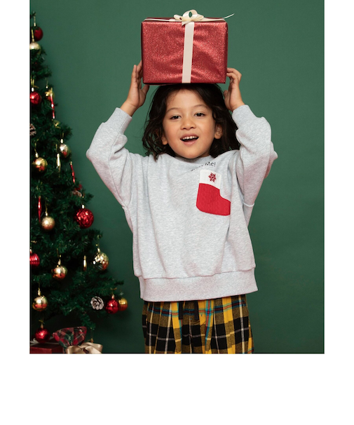 ギミックポケットトレーナー