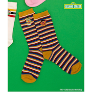 セサミストリート ソックス