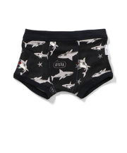 バラエティ ボクサーパンツ D