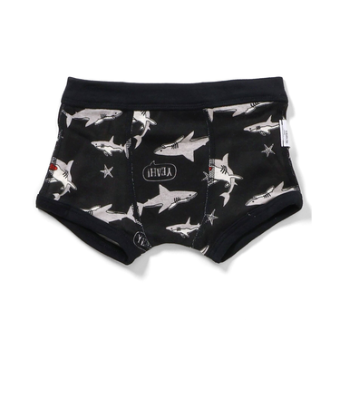 バラエティ ボクサーパンツ　D