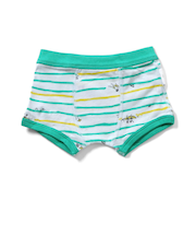 バラエティ ボクサーパンツ B