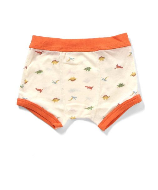 小さな柄 ボクサーパンツ