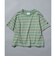 【WEB限定】ボーダー&無地ベーシック半袖Tシャツ