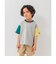 【WEB限定】ボーダー&無地ベーシック半袖Tシャツ