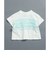 WEB限定  チューブトップチュールTシャツ