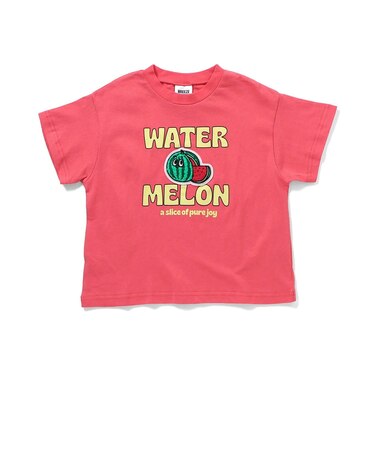 6色6柄いろいろサガラワッペンTシャツ