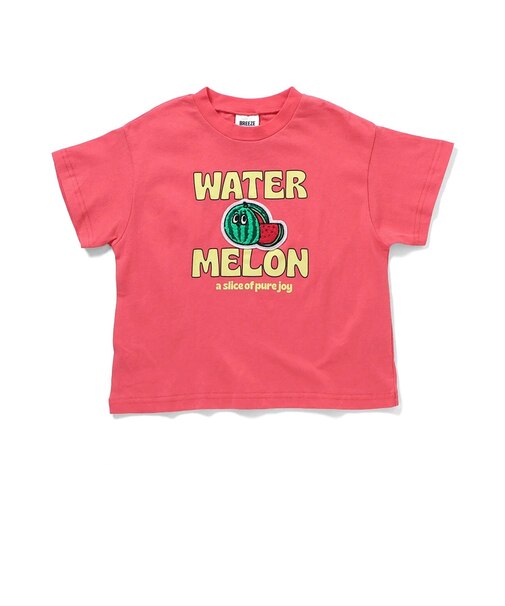 6色6柄いろいろサガラワッペンTシャツ