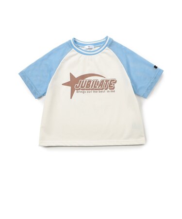 メッシュドッキングT