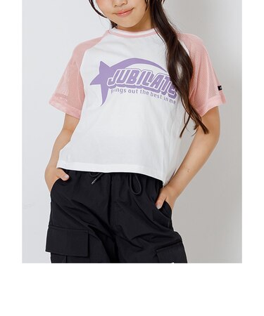 メッシュドッキングT