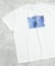 【リンク】【ディズニーキャラクター】プリンセス/アナと雪の女王 半袖Tシャツ(大人)