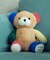 tiny bear Palette ファーストトイぬいぐるみ