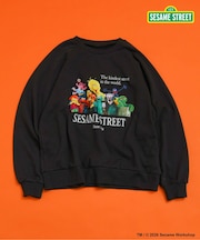 【リンク】SESAME STREET フォトアートトレーナー(大人)