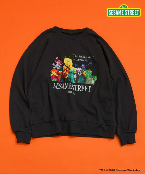 【リンク】SESAME STREET フォトアートトレーナー（大人）