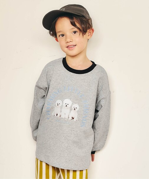 【リンク】バラエティ転写モチーフTシャツ