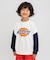 WEB限定【Dickies】ロゴトレーナー