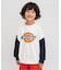 WEB限定【Dickies】ロゴトレーナー