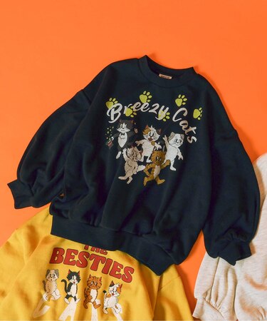 【リンク】BREEZY CATS にゃんシーントレーナー