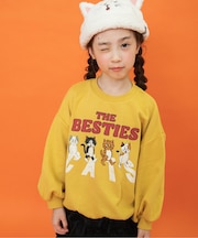 【リンク】BREEZY CATS にゃんシーントレーナー