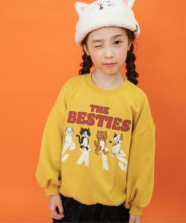 【リンク】BREEZY CATS にゃんシーントレーナー