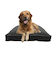 Doggybo Max（ドギボー マックス）