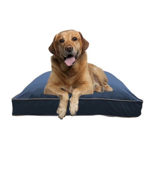 Doggybo Max（ドギボー マックス）