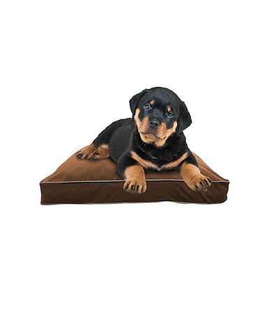 Doggybo Mini（ドギボー ミニ）