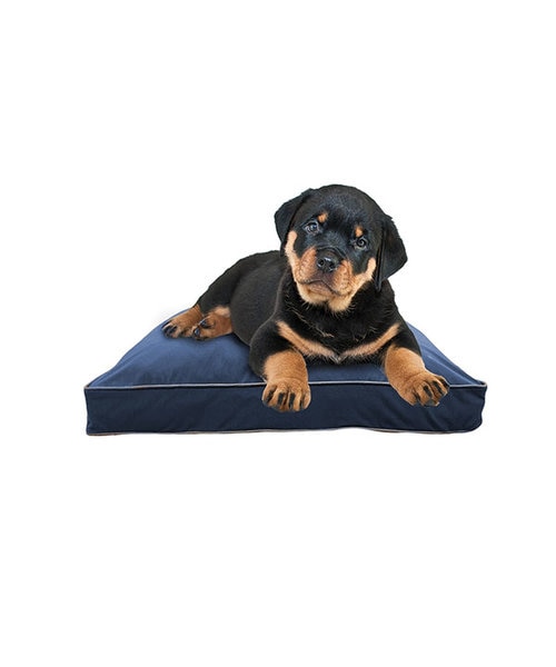 Doggybo Mini（ドギボー ミニ）｜ヨギボーの通販｜&mall（アンド