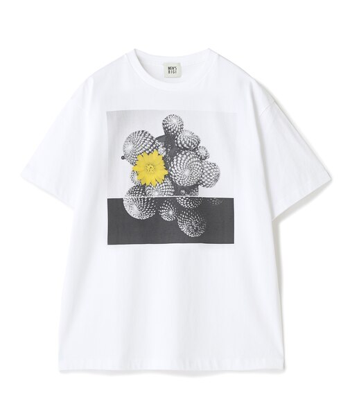 【THE FASCINATED/ザ ファシネイテッド】コラボ サボテンイエローグラフィックTシャツ