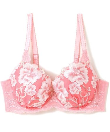 emmy エミー コーディネートブラジャー E-Gカップ