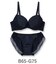 Nudy Basic -fill- ヌーディーベーシックフィル ブラ＆ショーツセット B65-G75カップ