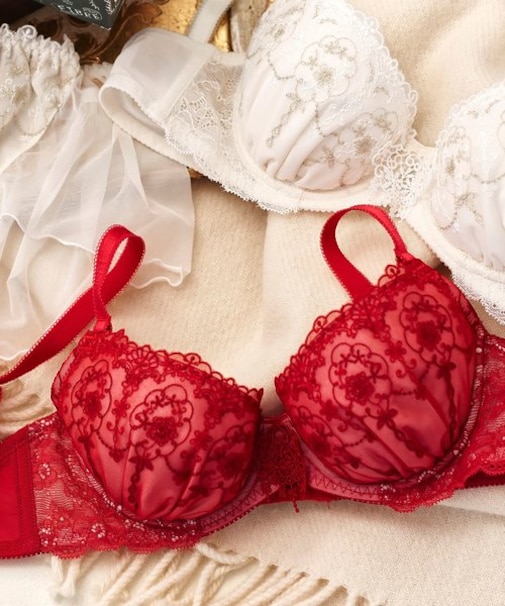 Sheer Noel シアーノエル ブラ＆ショーツセット B-Gカップ