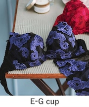 ボディメイクの真骨頂ゴージャス薔薇刺繍 「グレースイストグランデ ブラジャー(ワイヤー有り)」 ブラジャー