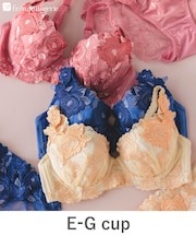 ボディメイクの真骨頂ゴージャス薔薇刺繍 「グレースイストグランデ ブラジャー(ワイヤー有り)」 ブラジャー