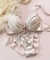 新作続々☆ 「ペアブラジャー ペアブラジャー（ワイヤー有り）」 ブラジャーショーツセット