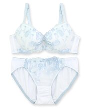 刺繍レースのベーシックデザイン自分らしいバストに 「フランスタンダード006 ペアブラジャー（ワイヤー有り）」 ブラジャーショーツセット