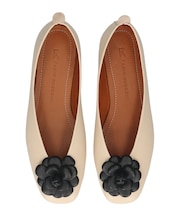 【FABIO RUSCONI】ラウンドトウVカットカメリアバレエ