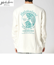 裏毛 ﾌﾟﾘﾝﾄ ﾄﾚｰﾅｰ