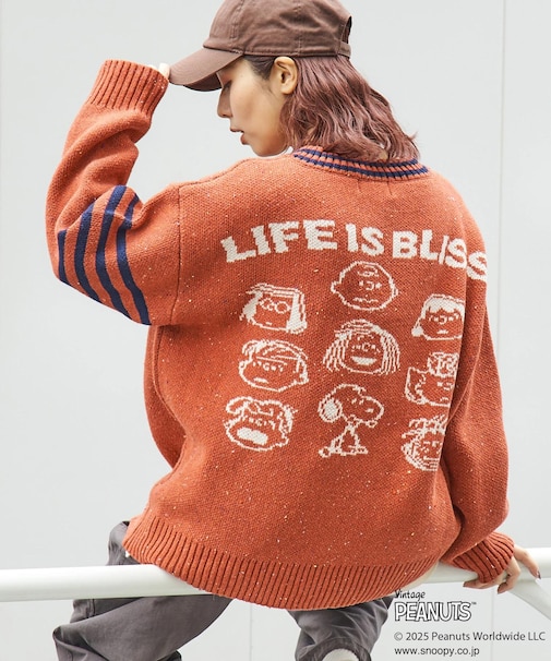 PEANUTS  ( ピーナッツ ) 1/16ネップヤーン ニット ロゴ ジャガード ライン入り Vネック プルオーバー